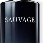 Dior Sauvage 100 ml Eau de Toilette - Herenparfum