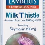 Lamberts Mariadistel Silymarin 200 mg - 90 Tabletten - Voedingssupplement
