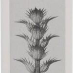 Herenparfum 001 Loewe 385-63050 EDT (50 ml) 50 ml - Afbeelding 4