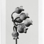 Loewe - Damesparfum - Aire - Eau de toilette 50 ml - Afbeelding 3