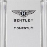 Bentley Momentum - 100ml - Eau de toilette - Afbeelding 2