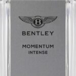 Bentley - Herenparfum - Momentum Intense - Eau de parfum 100 ml - Afbeelding 3