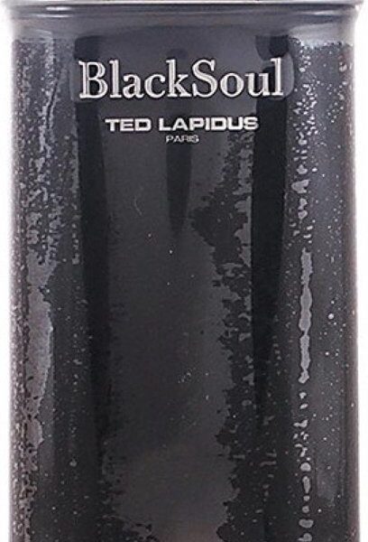 Ted Lapidus   Men s Perfume Black Soul Ted Lapidus Edt   Men   50 Ml