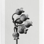 Loewe - Damesparfum - Aire - Eau de toilette 100 ml - Afbeelding 3