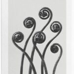 Loewe - Damesparfum - Agua Mar de Coral - Eau de toilette 100 ml - Afbeelding 4