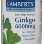 Capsules Lamberts Ginkgo (180 uds)