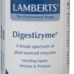 Lamberts Digestizyme - 100 capsules