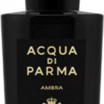 Uniseks Parfum Acqua Di Parma EDP Ambra (20 ml)