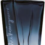 Salvatore Ferragamo Subtil Pour Homme Eau de Toilette 100ml Spray