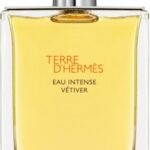 Hermes Terre d'Hermès Eau Intense Vétiver 100 ml - Eau de Parfum - Herenparfum