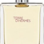 Hermes Terre D'Hermes EDT M 100 ml