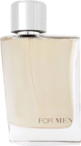 Jacomo - Silver Jacomo for Men - Eau De Toilette - 100ML - Afbeelding 4