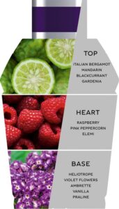 Bentley - Beyond The Collection - Eau de Parfum - Mellow Heliotrope 100ml - Afbeelding 3