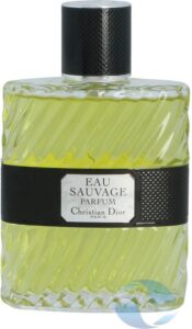 Christian Dior Eau Sauvage Eau De Parfum Spray 100 ml for Men