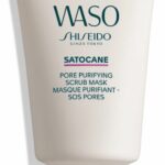 Zuiverend Masker Waso Satocane Shiseido (80 ml)