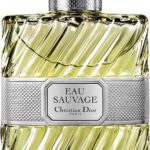 Dior - EAU SAUVAGE eau de toilette 200 ml