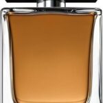 Dolce & Gabbana The One For Men 30 ml Eau de Toilette - Herenparfum