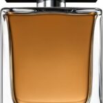 Dolce & Gabbana The One For Men 100 ml - Eau de Toilette - Herenparfum