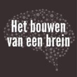 Het bouwen van een brein