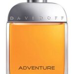 Davidoff Adventure 100 ml Eau de Toilette - Herenparfum