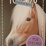 100% Paardengek - Mijn lievelingspony