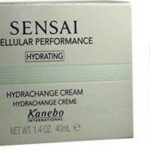 Kanebo - Anti-Veroudering Hydraterende Crème Scp Hydrachange Kanebo - Vrouwen - 40 ml