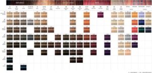 Schwarzkopf Igora Royal 60 ml 3-65 - Afbeelding 3