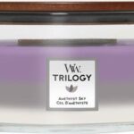 WoodWick Trilogy Heartwick Ellipse Geurkaars - Amethyst Sky