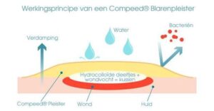 Sport Sole Foot Ampoules 5 U By Compeed 5 Pcs - Afbeelding 2