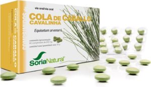 Equisetum Arvense 12-S Sor - Afbeelding 2