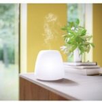 Essentiële Olie Verstuiver Pranarôm Joy Ultrasonisch Glas LED