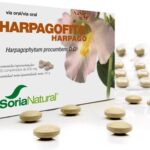 Harpagophytum Proc 24-S Sor