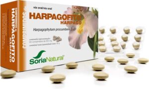 Harpagophytum Proc 24-S Sor