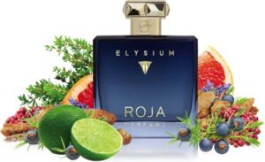 Roja Elysium Pour Homme by Roja Parfums 100 ml - Extrait De Parfum Spray - Afbeelding 2