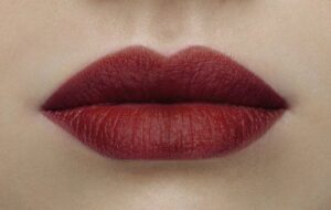 Sisley Phyto Lip Twist 22 Burgundy Mat Tinder Balm 2 5 Gr - Afbeelding 2