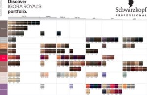 Schwarzkopf Professional Igora Royal 6-00 - 60 ml - Afbeelding 4