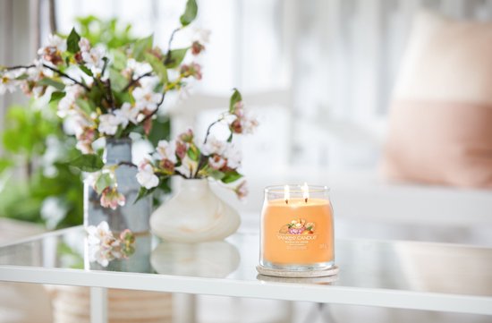 550x361-75 Yankee Candle - Mango Ice Cream Signature Medium Jar - Afbeelding 1