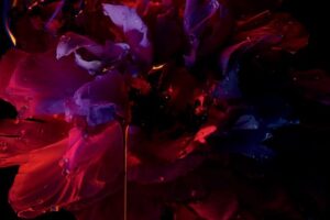 Dior (Christian Dior) Hypnotic Poison EDT W 150 ml - Afbeelding 2