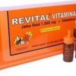 Pharma Otc Revital Vitaminado Jalea Real 1000mg Hierro Vitaminas 20 Viales