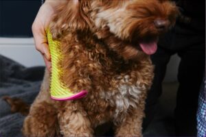 Pet Teezer - Detangling Dog Brush - Yellow & Pink - Afbeelding 4