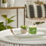 Yankee Candle - Vanilla Lime Signature Medium Jar