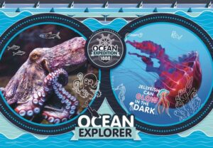 Clementoni Supercolor Puzzel - OCEAN EXPLORER - National Geographic Kids - 104 Stukjes - Afbeelding 2