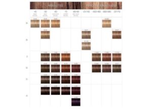 Schwarzkopf Igora Absolutes 60 ml 6-70 - Afbeelding 2