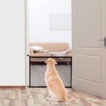 Deluxa - Pets Huisdierenhek