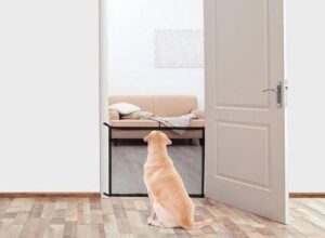 Deluxa - Pets Huisdierenhek