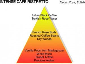 Montale Ristretto Intense Café Extrait de Parfum 100 ml Eau de Parfum - Unisex - Afbeelding 4