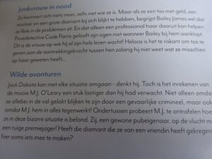 Nora Roberts Fonkelende Sterren - Afbeelding 2