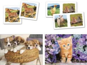Clementoni Puzzel Superkit Animals 4-in-1 30 Stukjes - Afbeelding 3