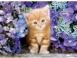 Clementoni Legpuzzel High Quality Collection - Katje 500 Stukjes - Afbeelding 4