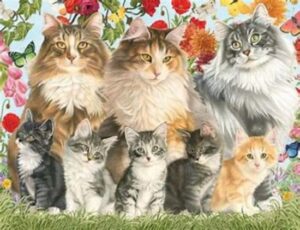 Jumbo Premium Collection Puzzel Francien Cat Family - Legpuzzel - 950 stukjes - Afbeelding 2